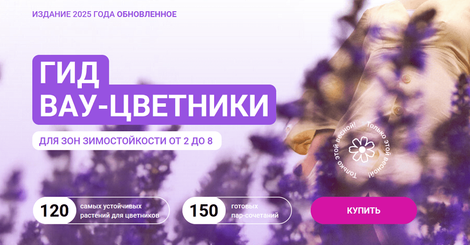 2025-04-03_15-14-21.png