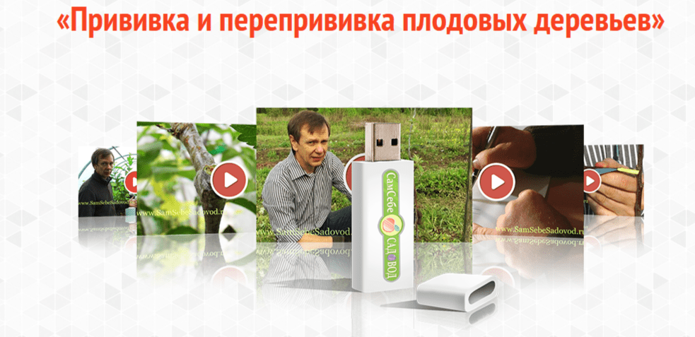 2025-05-04_10-27-23.png