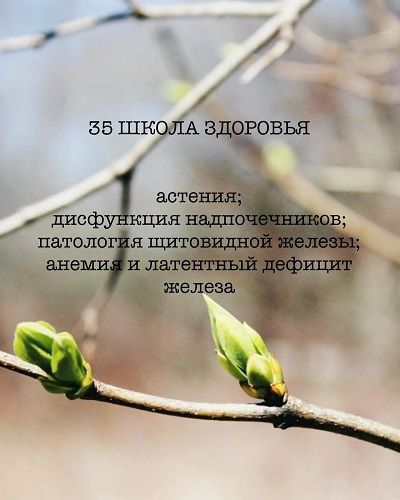 _3745500169.jpg