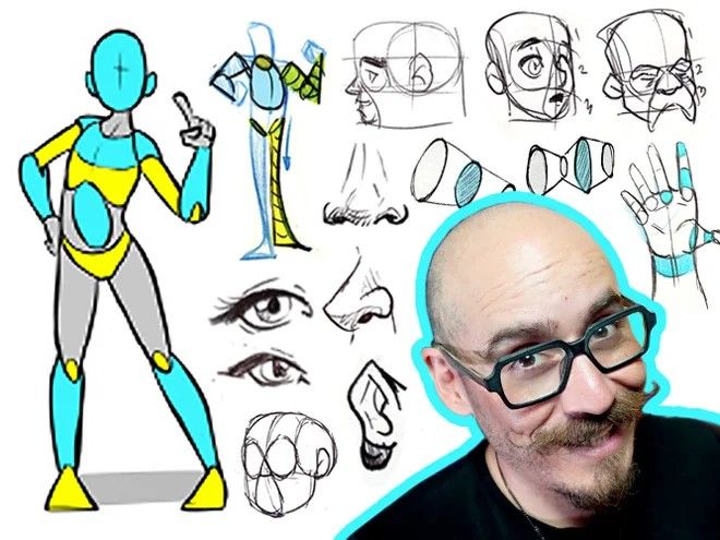 Anatomy-Course-for-beginners.jpg