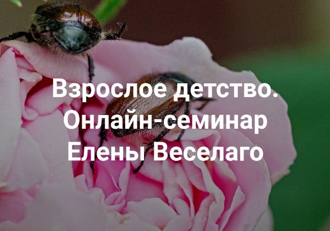 e.jpg