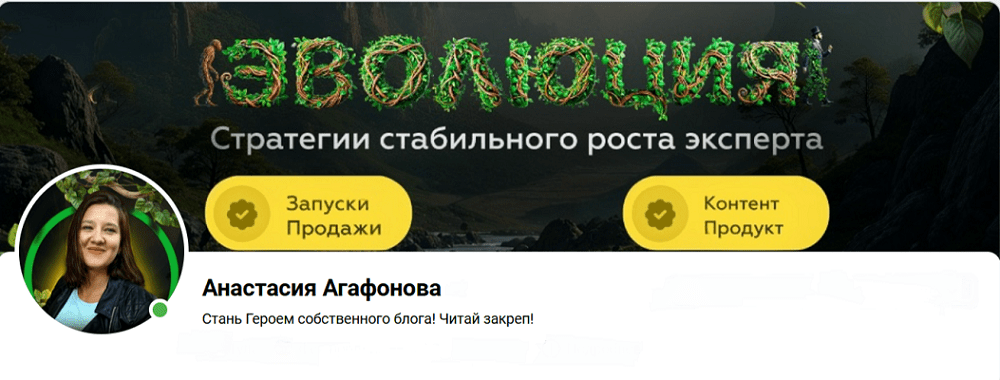 FireShot Capture 007 - Анастасия Агафонова - [vk.com].png