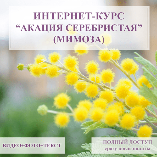  имени.png
