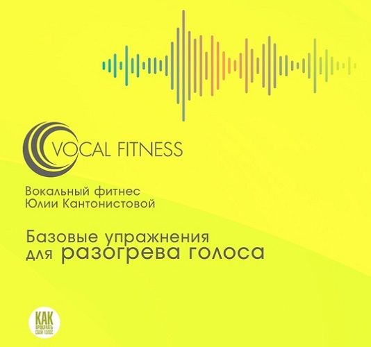 SAQ_YM2A.jpg